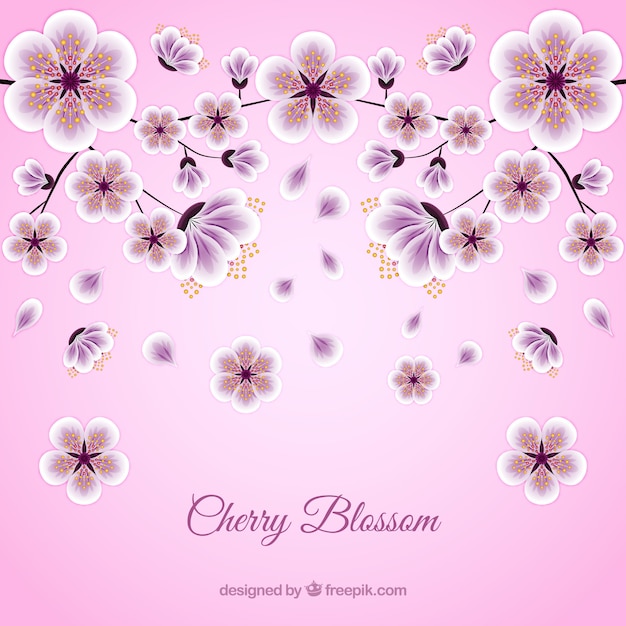 Free Vector | Pink cherry blossom background