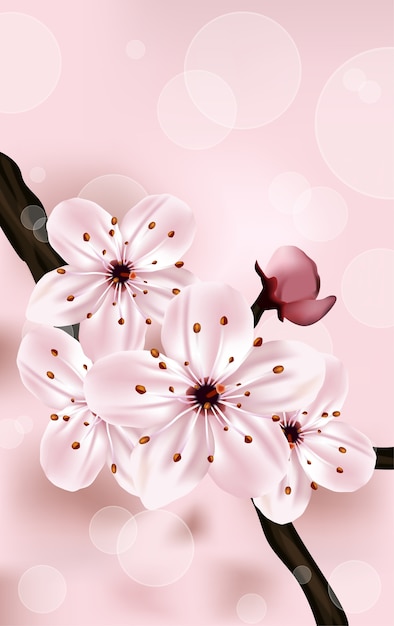 Premium Vector Pink Cherry Blossom