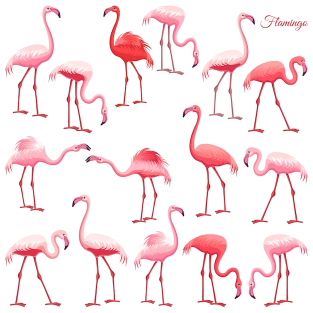 Premium Vector | Pink flamingo set.