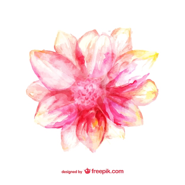 Pink flower watercolor card