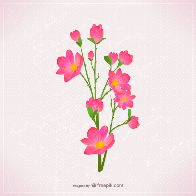 Pink flowers illustration