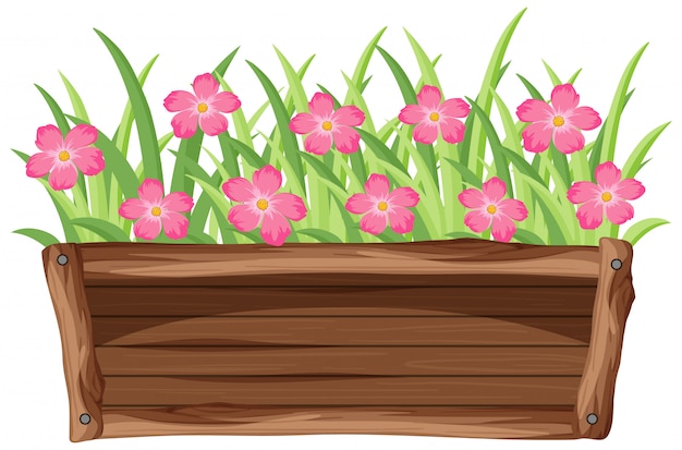 Premium Vector | Pink flowers in wooden bucket on white background