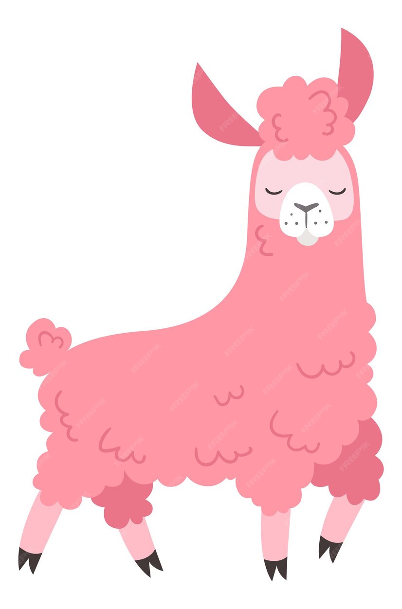 Premium Vector | Pink lama. cute baby girl alpaca character isolatdd on ...