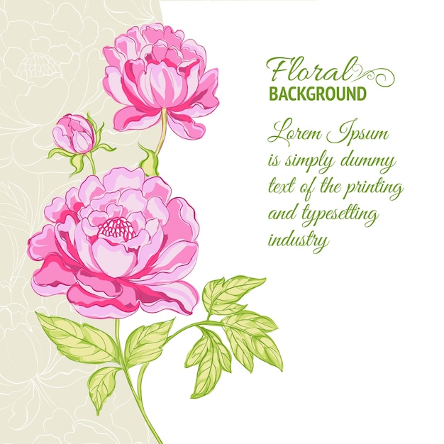 Pink peonies background with sample text