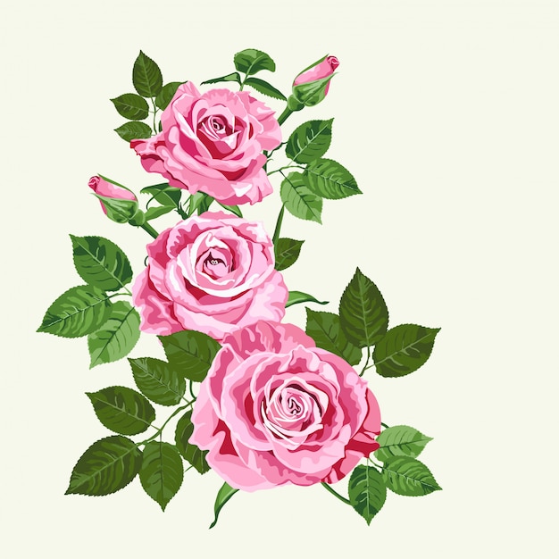 Premium Vector | Pink roses on green