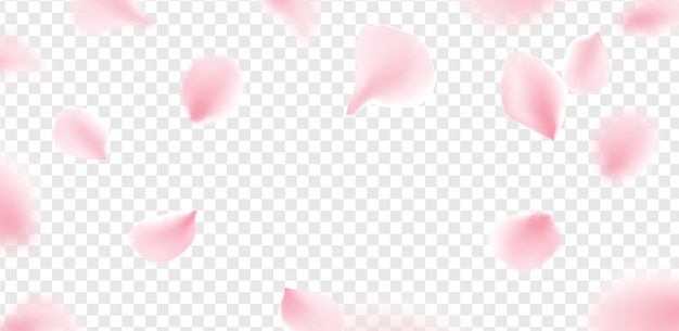 ピンクの桜の花びらが落ちる花ベクトル孤立した背景 ロマンチックな花の桜の花びら プレミアムベクター