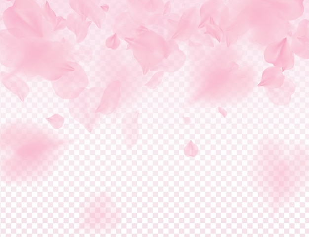 Pink Background Transparent gambar ke 5