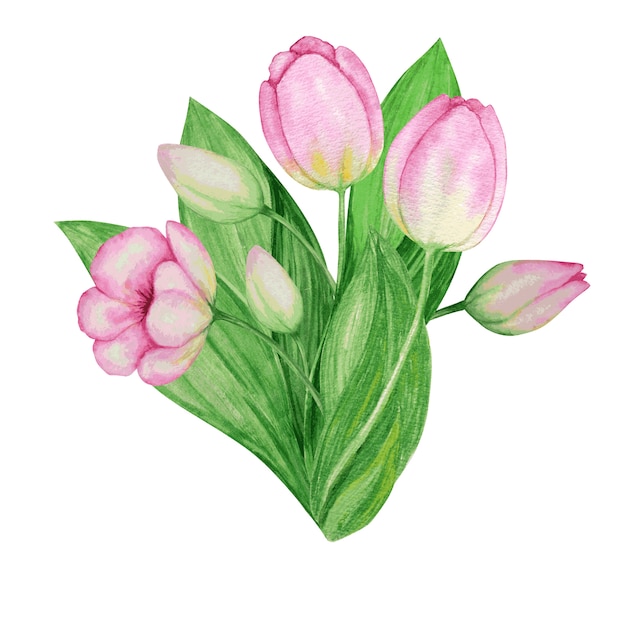 ピンクイエローチューリップブーケ手描き水彩画ボタニカルイラスト 美しい春の花 プレミアムベクター