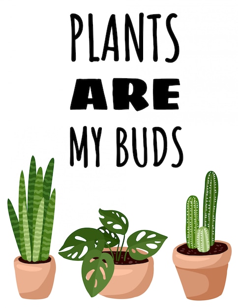 Premium Vector | Plants are my buds. potted succulent plants flyer ...