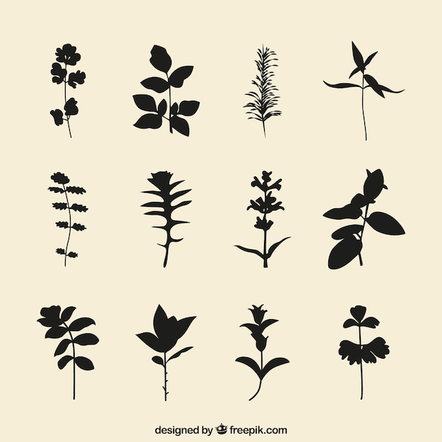 Download Plants silhouettes | Free Vector