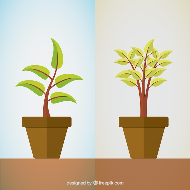 Download Plants | Free Vector