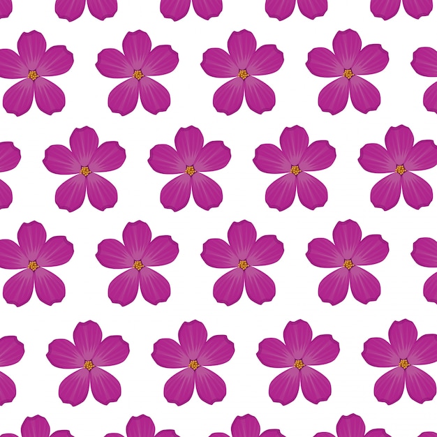 プルメリアの花紫の壁紙の装飾 プレミアムベクター