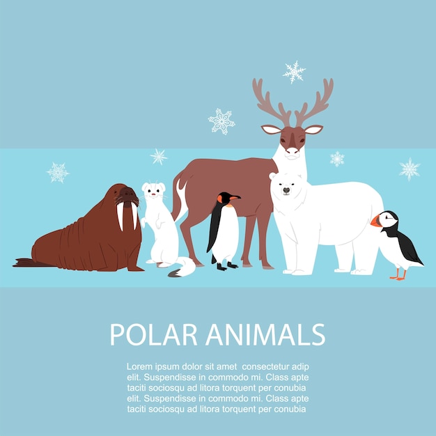 極地と北極の動物と鳥のイラスト プレミアムベクター