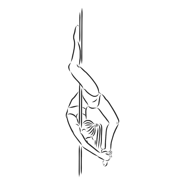 Premium Vector Pole dancer on the pole. beautiful young woman on the