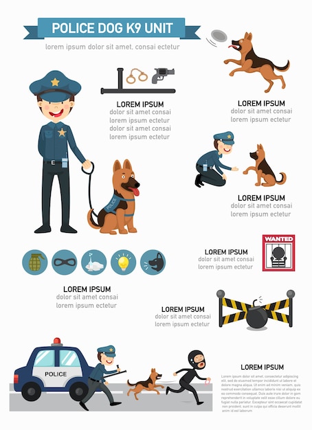 警察犬k9ユニットインフォグラフィック ベクトルイラスト プレミアムベクター