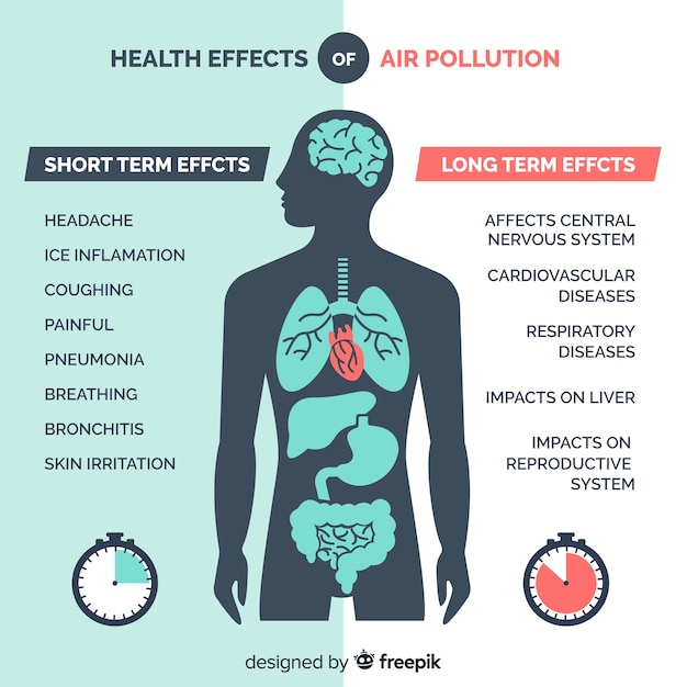 Pollution On Human Body Infographic Vector Free Download 6029