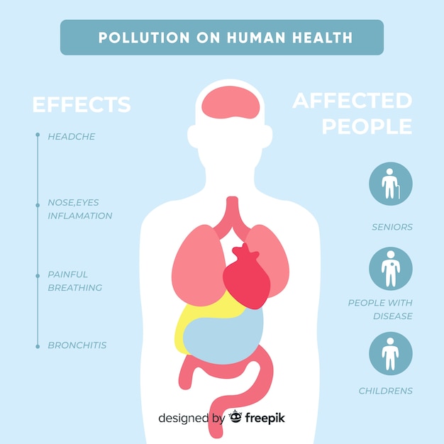 Human pollution. Инфографика. Тело человека.