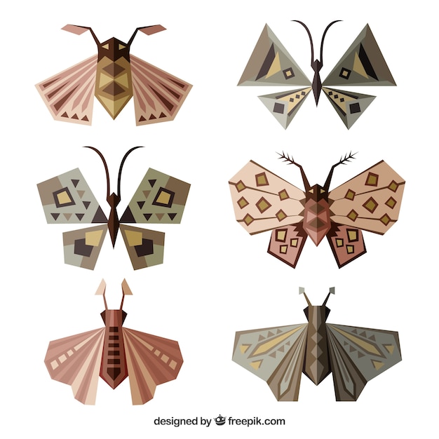 Polygonal butterflies set
