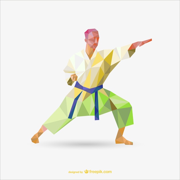 Polygonal karate expert