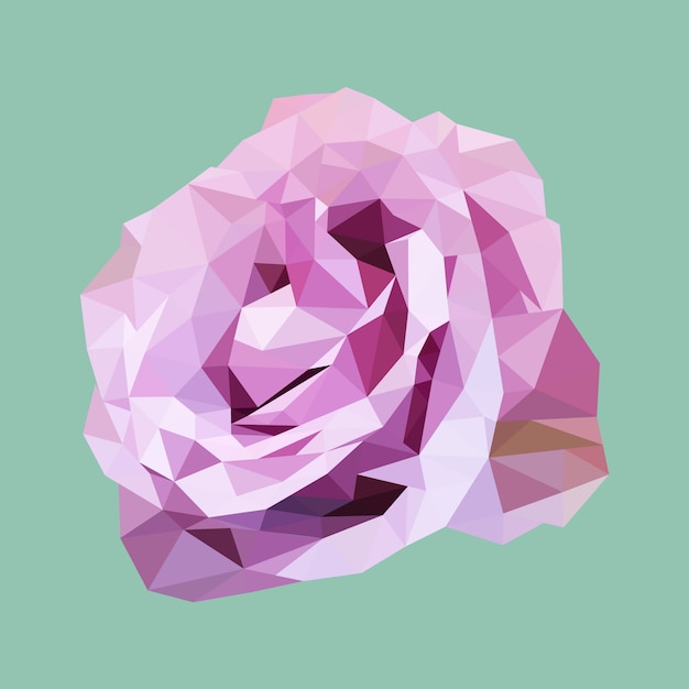 Download Polygonal purple rose, polygon triangle flower, isolated ...