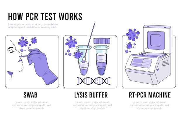 Free Vector Polymerase Chain Reaction Test And Analysis