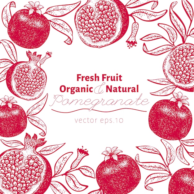 Pomegranate fruit design template | Premium Vector