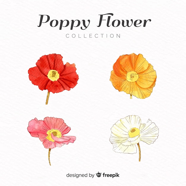 Free Free 327 Poppy Flower Svg Free SVG PNG EPS DXF File