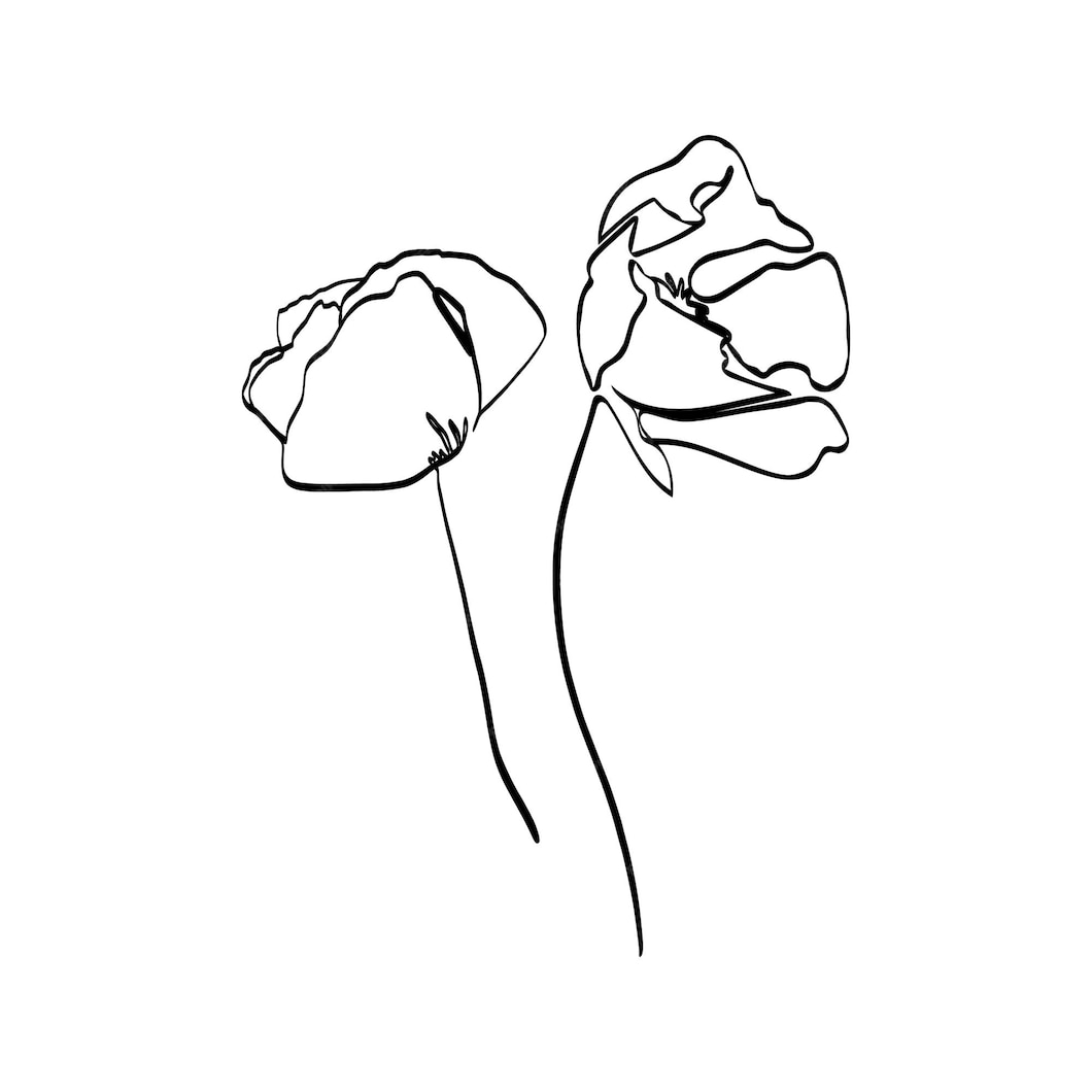 Premium Vector | Poppy flower continuous line drawing. vector abstract ...