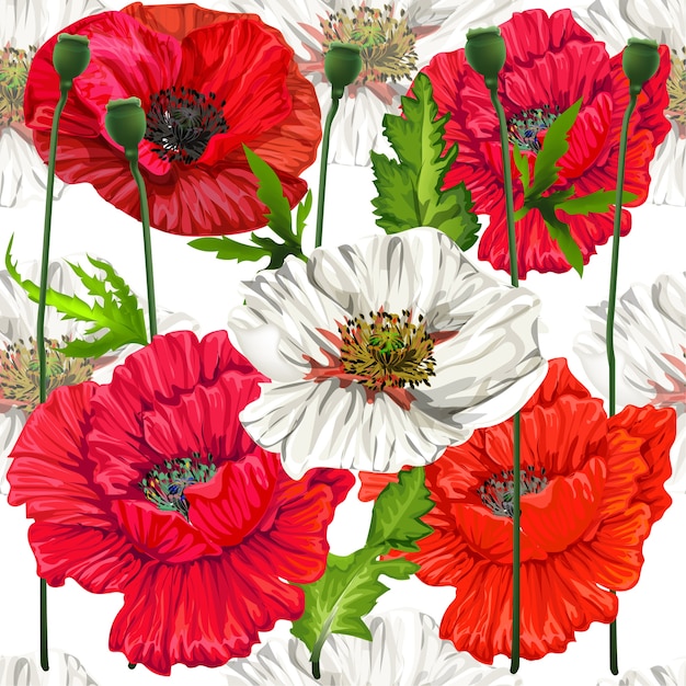 Premium Vector | Poppy flowers