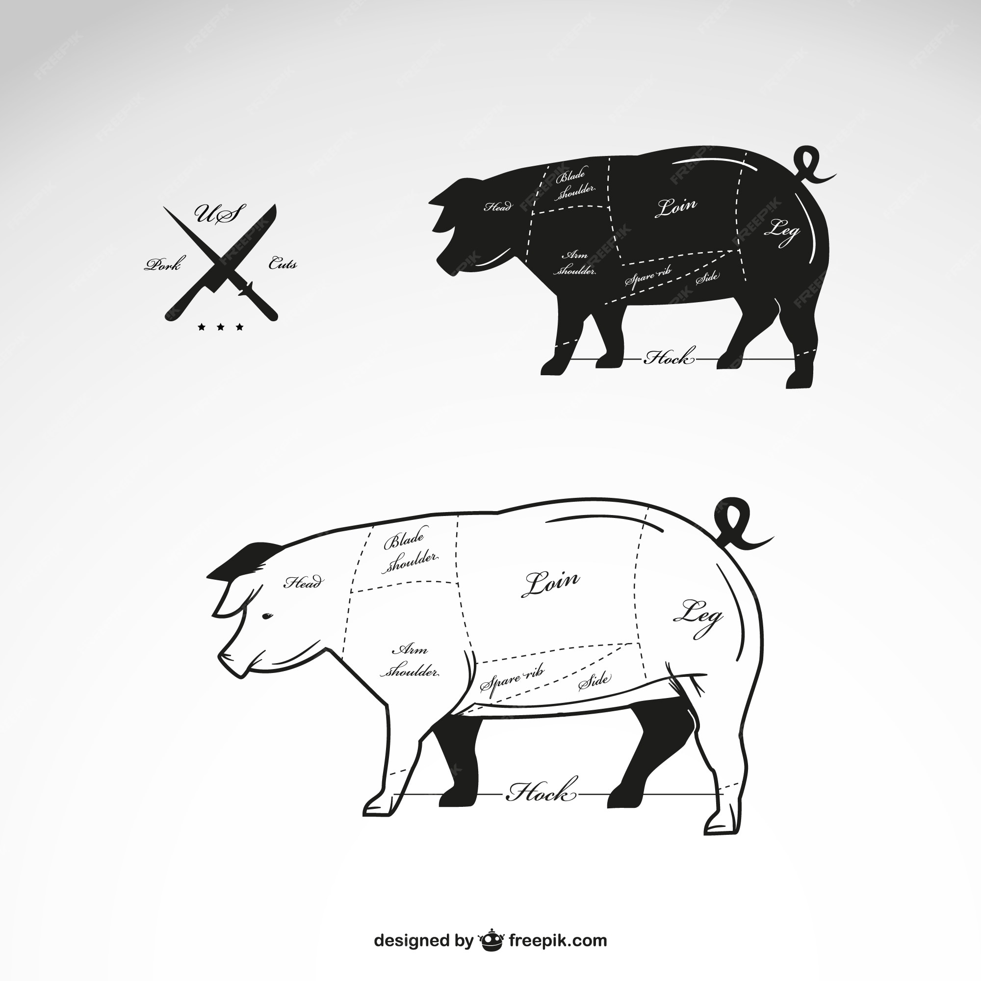 Premium Vector | Pork meat diagram