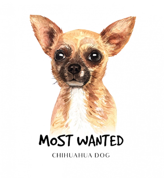 Download Portrait chihuahua dog for printing Vector | Premium Download