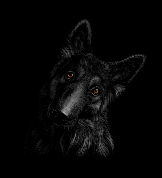 黒の背景にジャーマン シェパード犬の肖像画 ベクトルイラスト プレミアムベクター