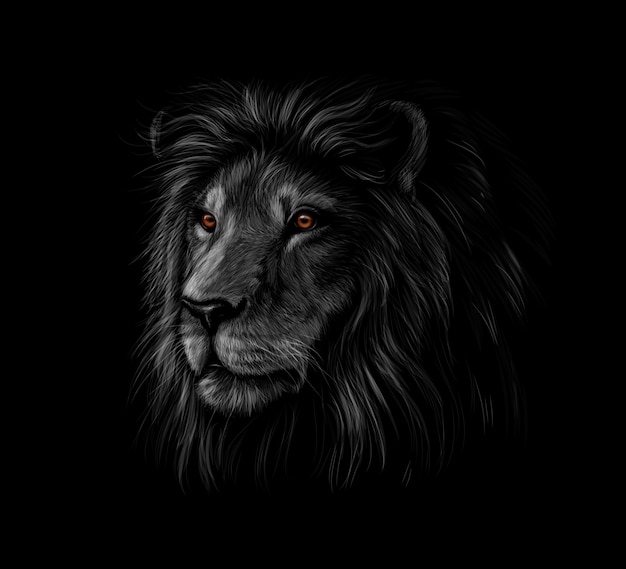黒の背景にライオンヘッドの肖像画 ベクトルイラスト プレミアムベクター
