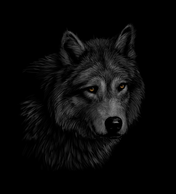 Premium Vector | Portrait of a wolf head on a black background. vector ...