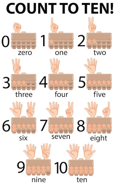 Free Vector Poster Design For Counting Number One To Ten By Hand And Eggs In Carton