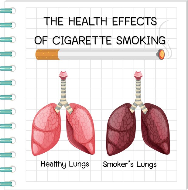 Premium Vector | Poster on health effects of cigarette smoking