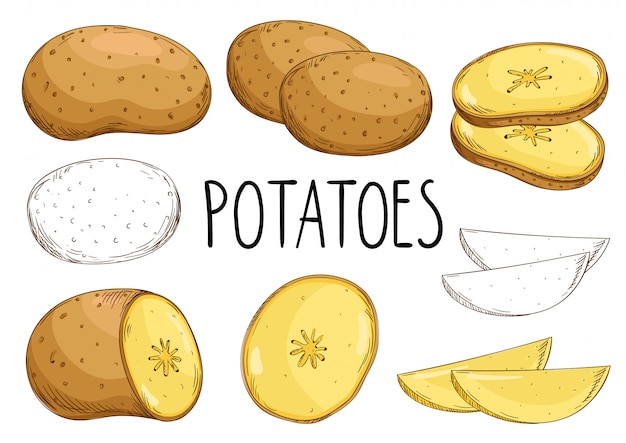 Potatoes isolated on white background Premium Vector