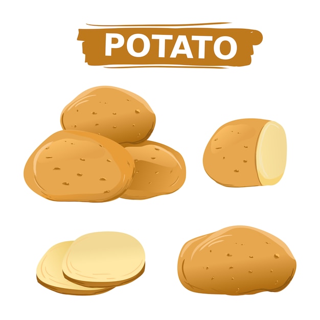Premium Vector | Potatoes set on isolated white background