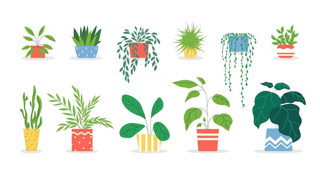 Potted plants set Free Vector