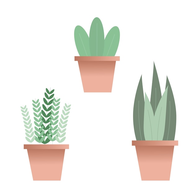 Premium Vector Potted Plants