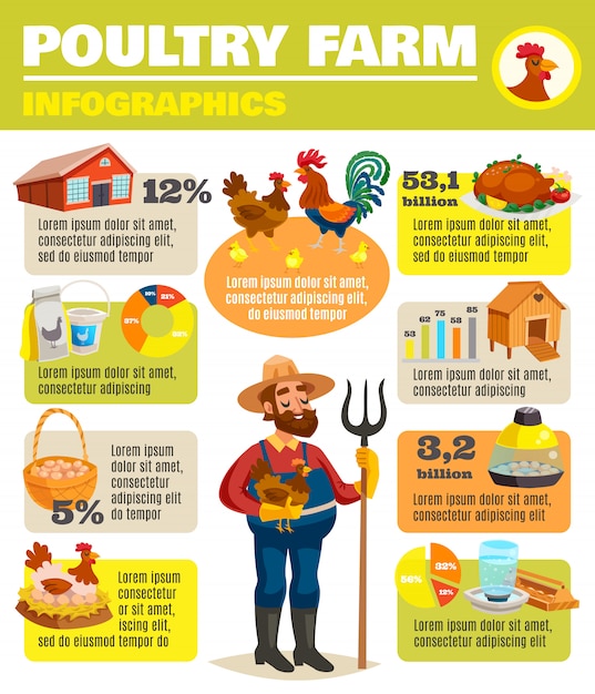 Free Vector | Poultry farm infographic poster