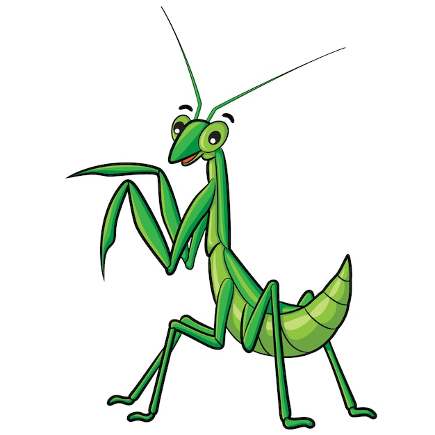 Premium Vector | Praying mantis cartoon