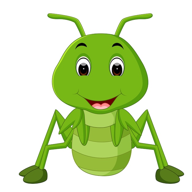 Premium Vector | Praying mantis cartoon