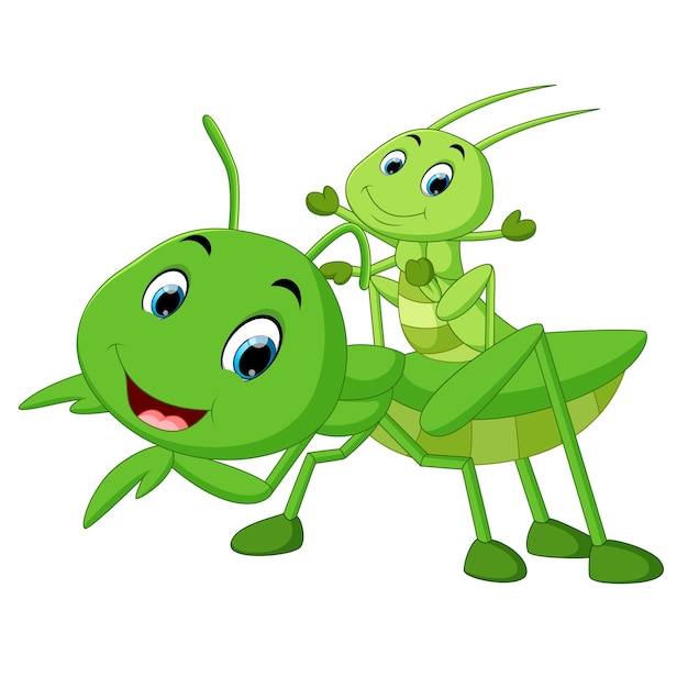 Premium Vector | Praying mantis cartoon