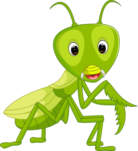Premium Vector | Praying mantis grasshopper cartoon