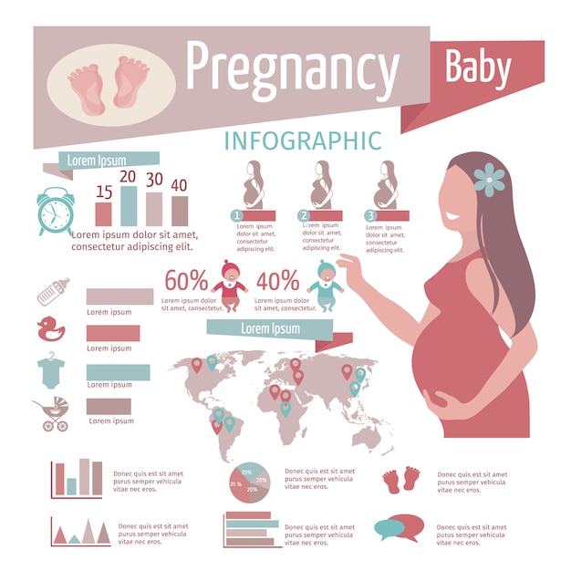 Pregnancy Infographics Set With Reproduction Symbols And Charts Free Vector 