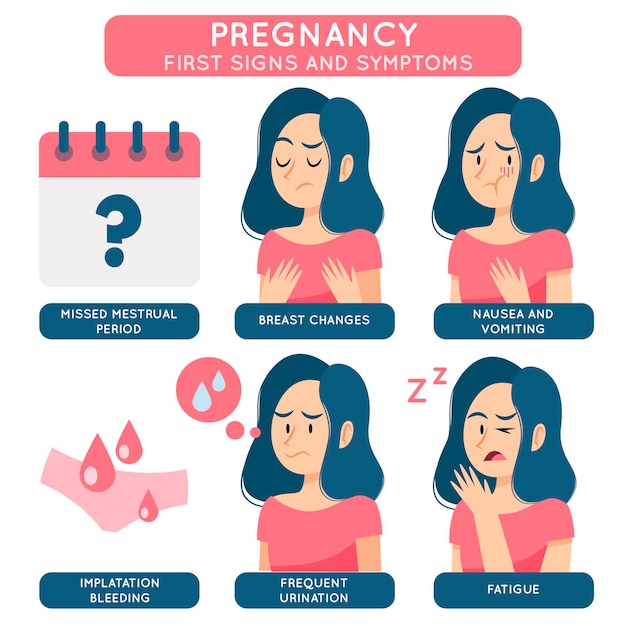 Premium Vector | Pregnancy symptoms and signs