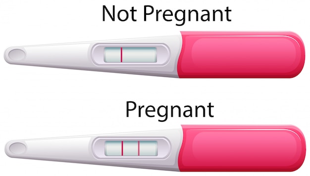 Premium Vector | Pregnancy test sticks with results