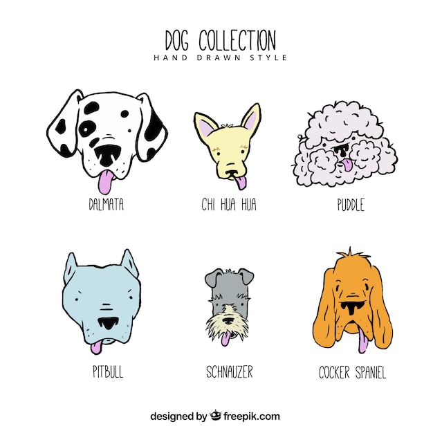 Pretty collection of hand-drawn dogs