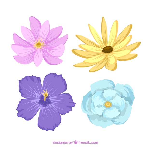 Download Free Vector Pretty Flowers Collection In Hand Drawn Style